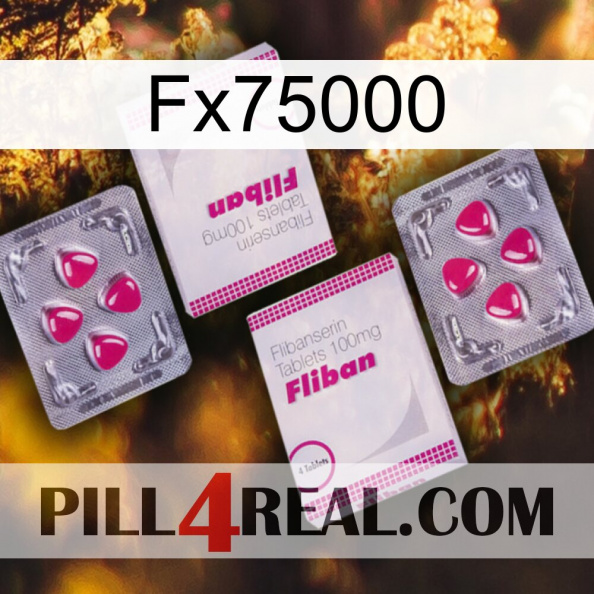 Fx75000 33.jpg